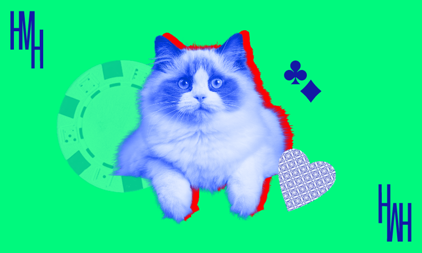 A cat may look at a king. (Image: The Spinoff)