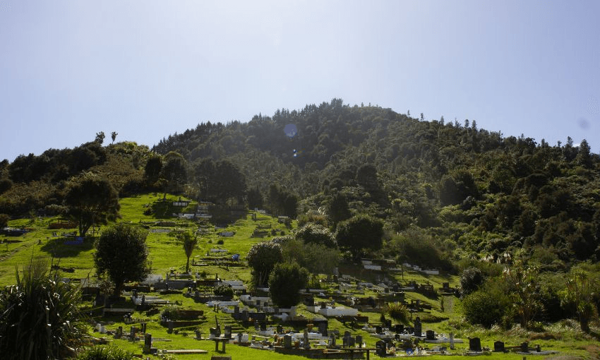 Taupiri maunga, resting site of the Māori monarchs. 
