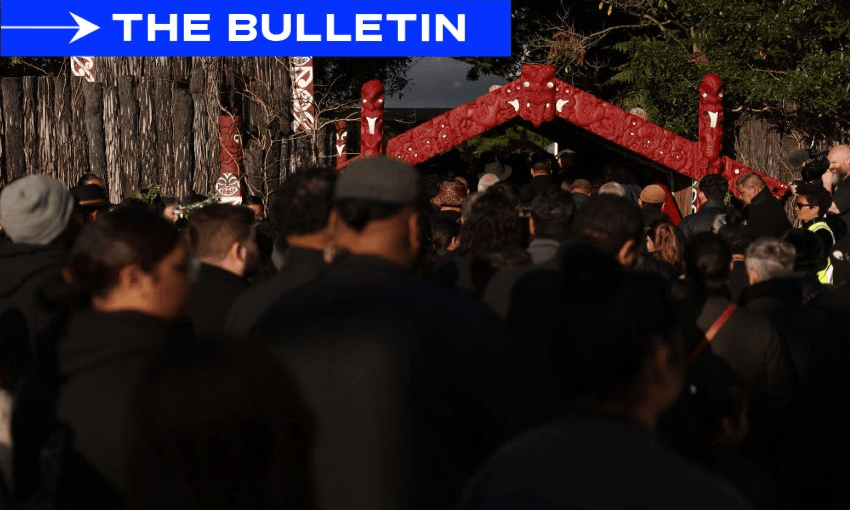 Mourners arrive at the funeral of Kiingi Tuheitia at the Turangawaewae Marae on September 04 (Photo by Michael Bradley/Getty Images) 
