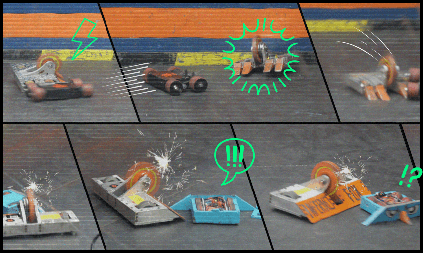 Top: Black Rose attempts to attack. Bottom: Angry Bird gets scalped by Inferno Fox. (Image: Gabi Lardies).