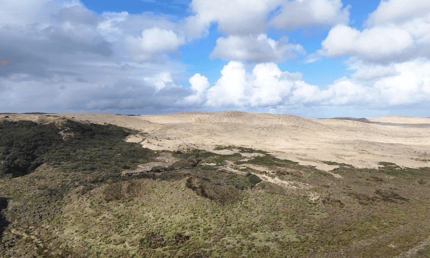 A large sand dune with some plants in the foreground.