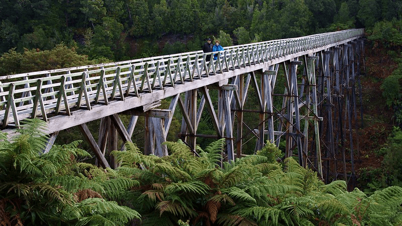 A long wooden bridge with railings spans a lush, green forest. Two people are walking across the bridge, surrounded by dense foliage including large ferns and tall trees. The sky is overcast, contributing to the serene atmosphere.