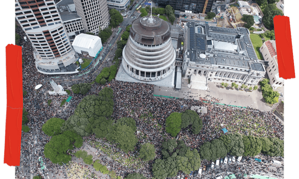 A drone shot of some of the crowd at parliament. Image credit: Keelan Walker.  
