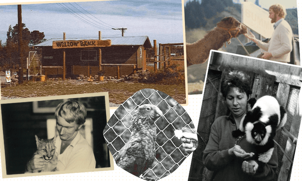 Willowbank through the ages (Photos: Supplied / Image: Tina Tiller) 
