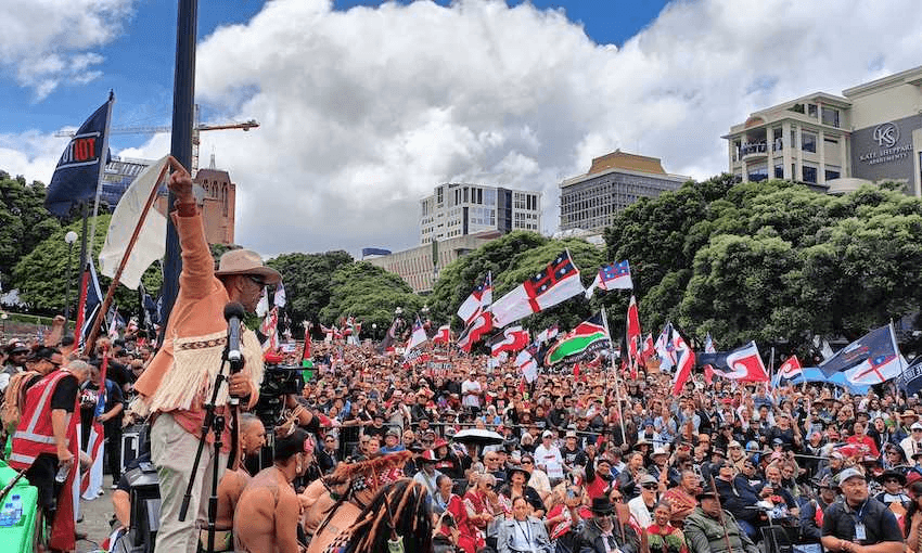 Te Pāti Māori co-leader Rawiri Waititi addresses the crowd at parliament (Photo: Joel MacManus)