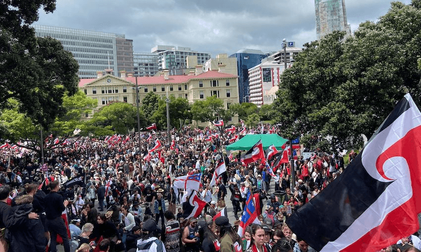 Hīkoi participants at parliament grounds (Photo: Claire Mabey) 
