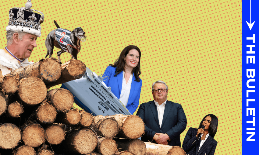 An awful lot of news (Image: Anna Rawhiti-Connell)