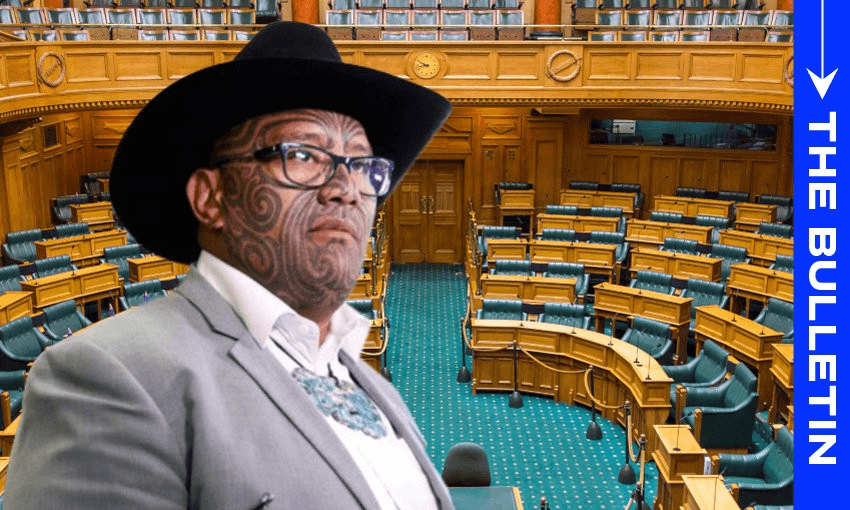 bulletin-rawiri-waititi-parliament-850&#215;510.jpg