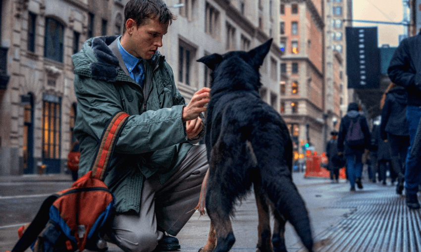 Harris Dickinson as Samuel in Babygirlkneels on a city street, appearing to interact with a black dog. People walk by on the sidewalk, and there are buildings in the background, suggesting an urban setting. A red and black backpack is on the ground nearby.