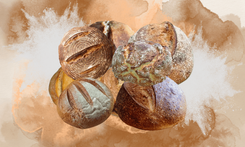 An assortment of artisan bread loaves, each with distinct textures and crust patterns, arranged against a watercolor-style background in earthy tones.