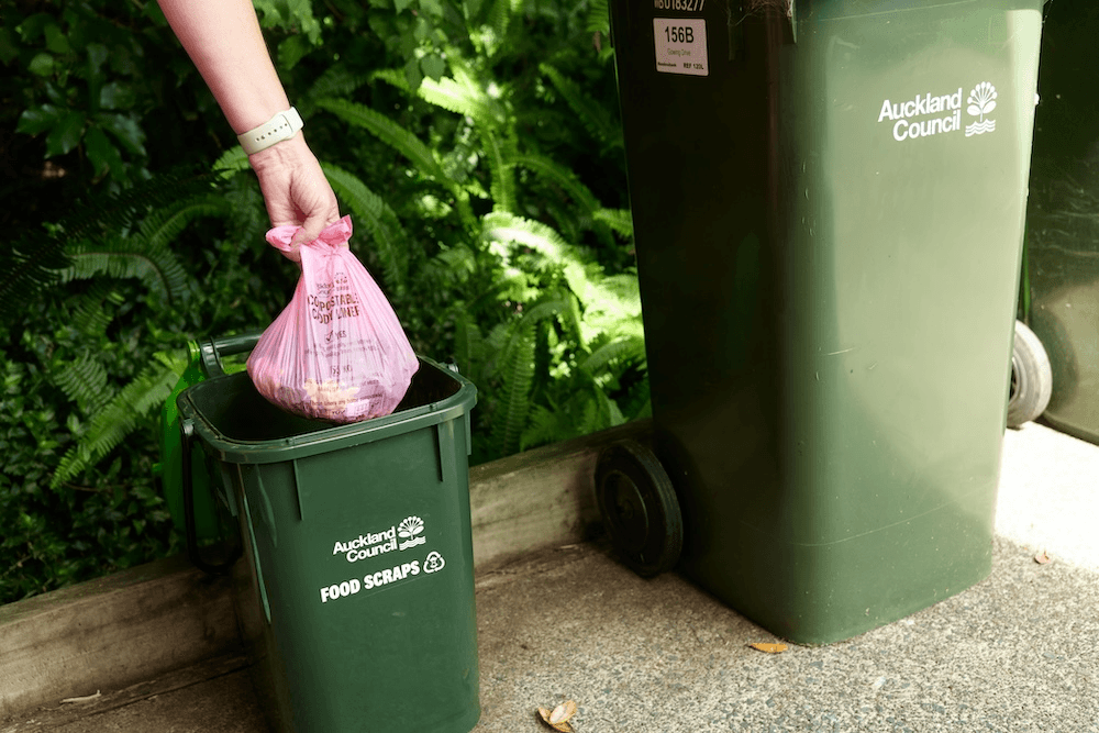 a photo at a jaunty angle of a hand putting a pink compostable bag into a small food scraps bin