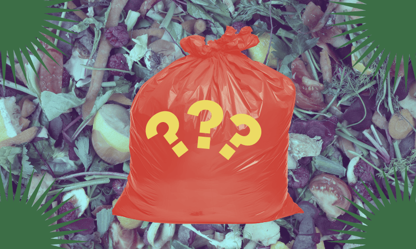 Food waste doesn’t disappear, but there are big differences between composting it in your backyard, sending it to landfill or placing it in a food scraps bin (Image: The Spinoff) 
