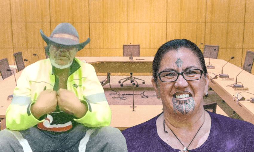 Activists Rueben Taipari and Leonie Pihama submitted on Thursday. 
