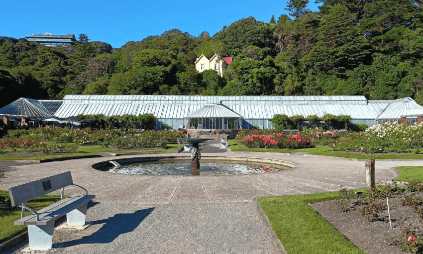 Begonia House in the Wellington Botanic Garden (Image: Joel MacManus)