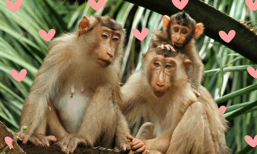 a family of monkeys surrounded by love hearts