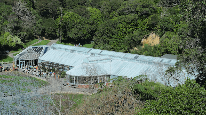 A large greenhouse with a glass roof is nestled among lush greenery. People are gathered outside near a pathway. The surrounding area is densely forested with various trees, creating a serene, natural setting.