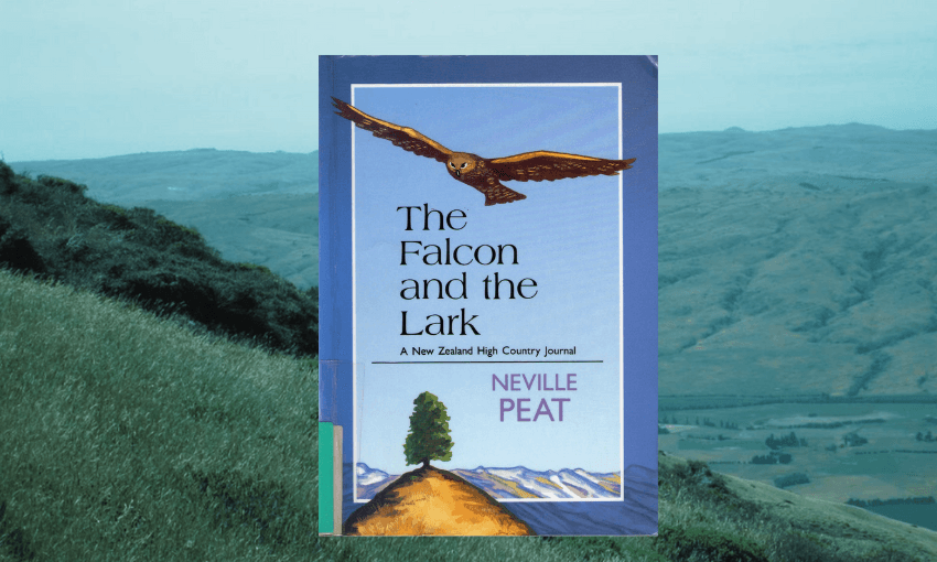 The cover image of The Falcon and the Lark by Neville Peat against the backdrop of Otago scenery.