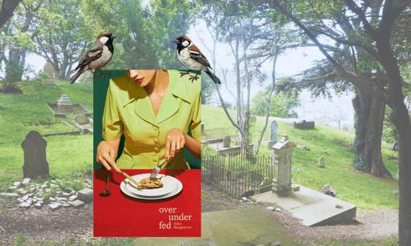 Sparrows feature heavily in this new poem from over under fed by Amy Marguerite 
