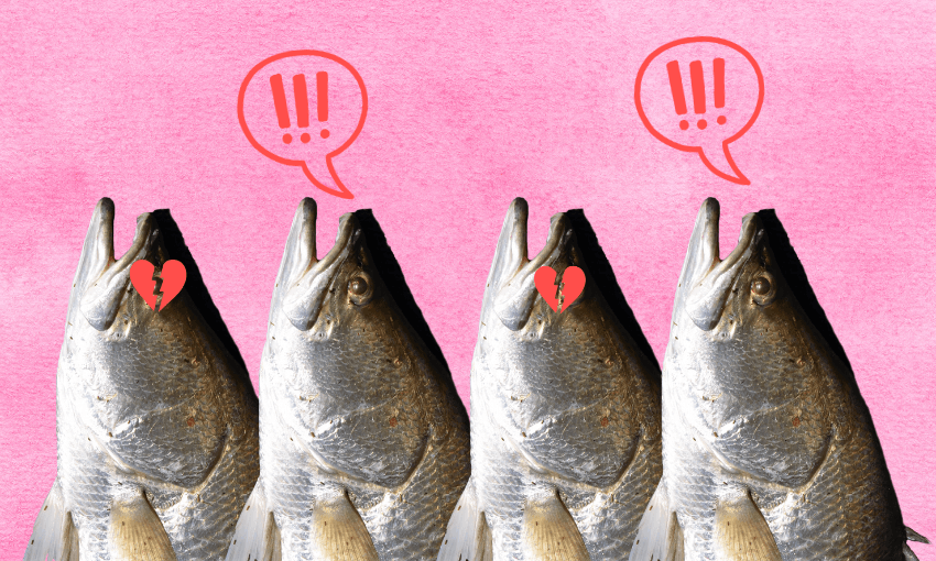 Four fish with open mouths, positioned vertically against a pink background. Two have broken heart symbols; two have exclamation marks in speech bubbles above their heads, conveying surprise or emotion.