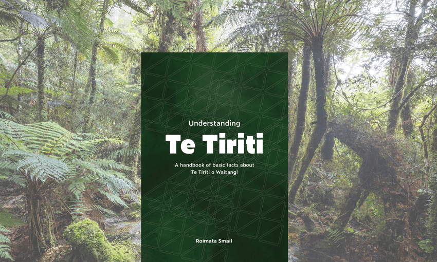 Roimata Smail's Guide to Te Tiriti book.