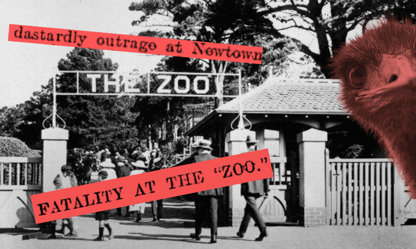 A vintage photo of people entering "The Zoo" with a decorative gate, overlaid with red text reading "dastardly outrage at Newtown" and "fatality at the 'zoo.'" A close-up of an emu's face is on the right side of the image.