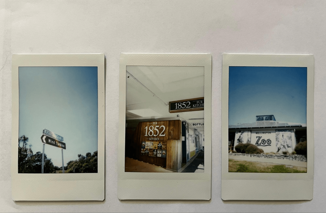 Three polaroids, one showing the road sign for the wind turbine, another showing the front of '1852 kitchen' with two signs, and the last a shot of a sunny Wellington Zoo entrance building