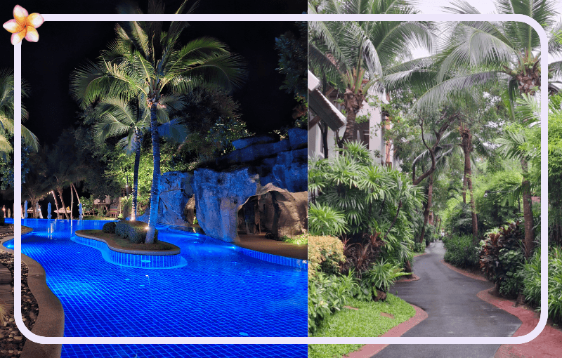 Split image: Left shows a lit pool at night surrounded by palm trees and rock formations; right shows a lush garden pathway lined with palm trees and greenery during the day.