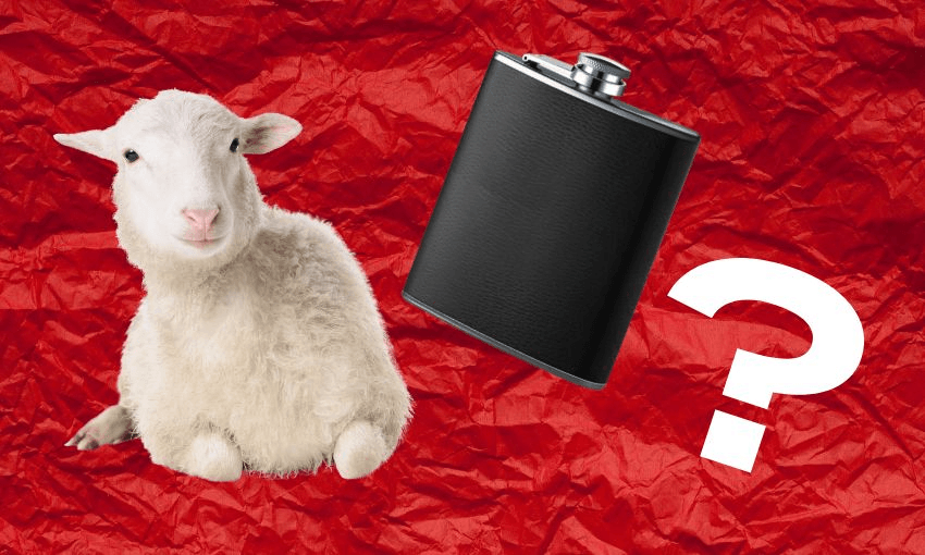 collage of a sheep, flask for alcohol and question mark