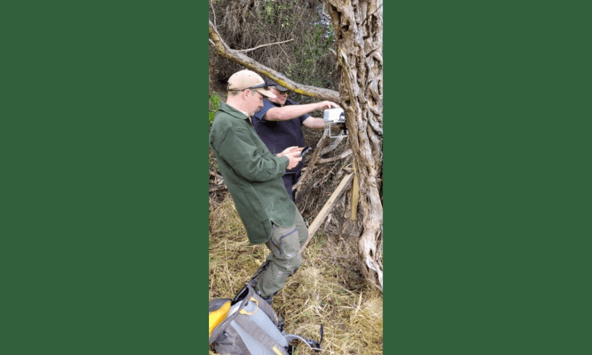 a dark green backround, two men in the centre looking at a white trap on a pine tree