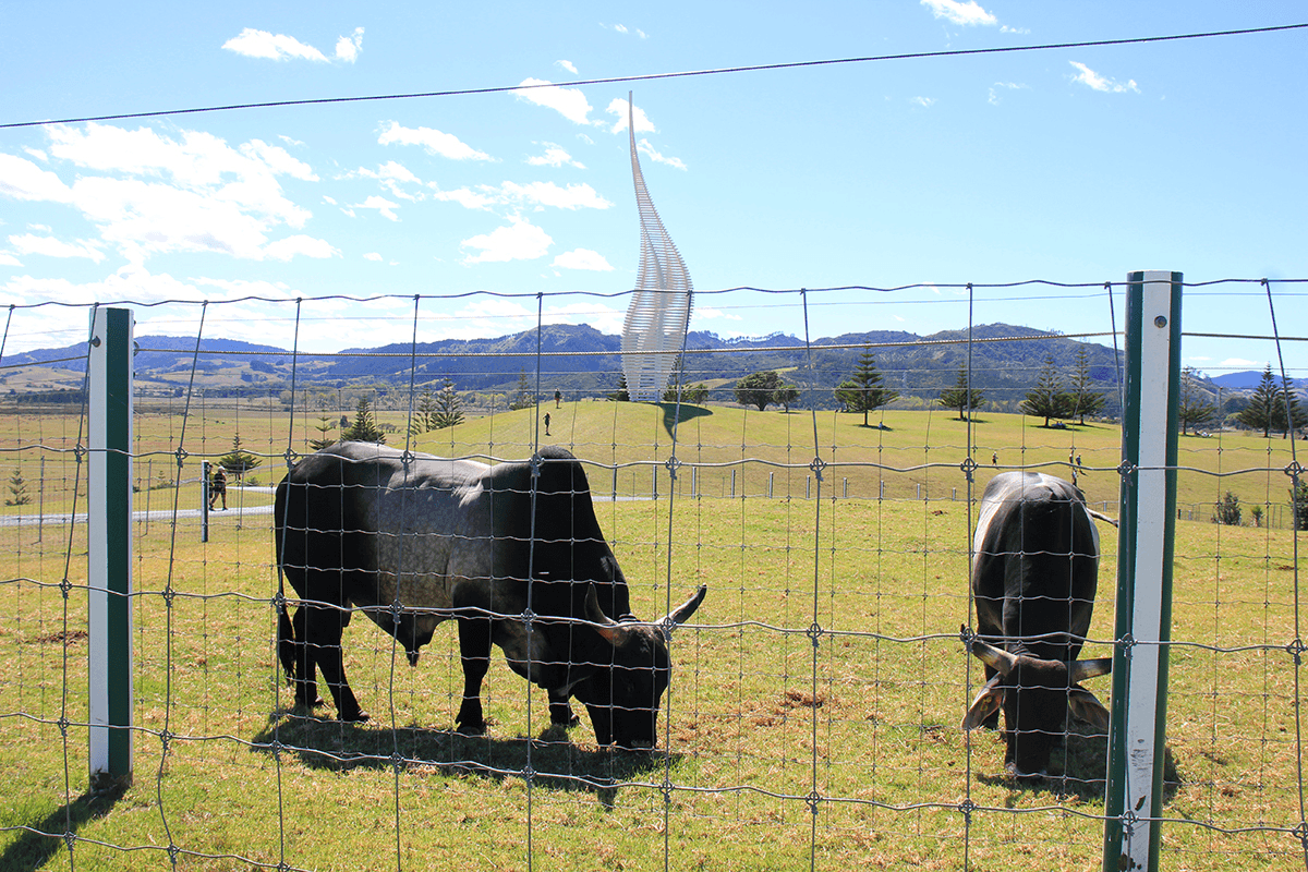 Asiatic water buffalo and Gerry Judah's 2017 sculpture Jacob's Ladder.