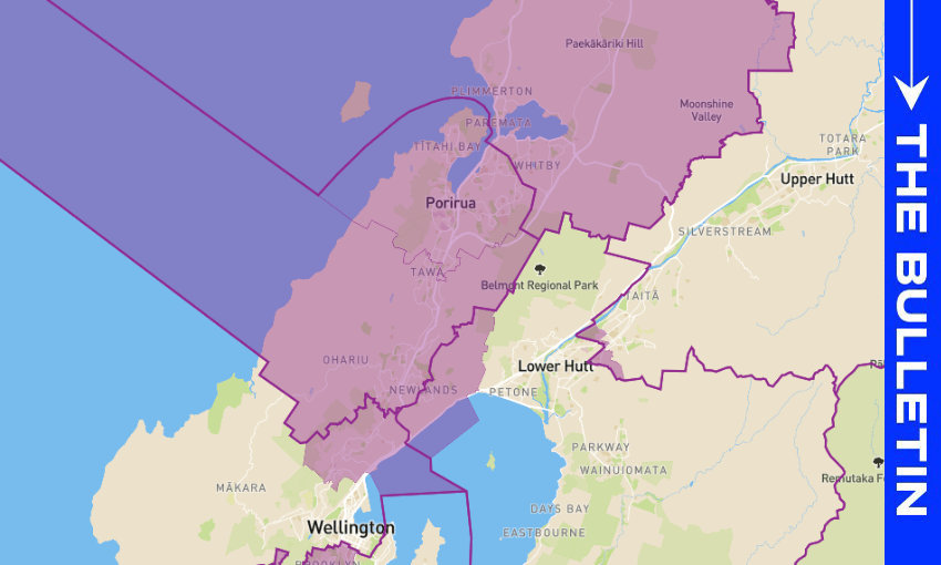 The commission has proposed turning three Wellington electorates into two. 
