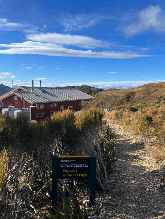 a brown doc hut surrounded by tussock grass below vivid blue sky