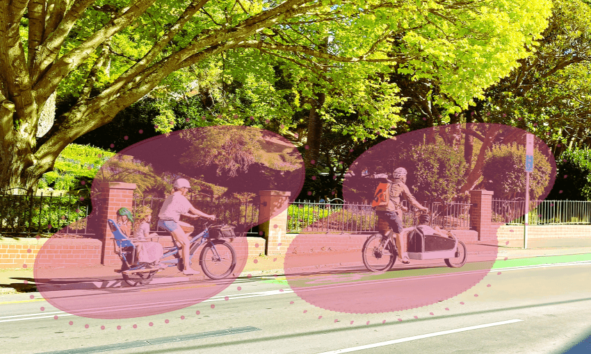 Cyclists on the Glenmore St cycleway outside the Wellington Botanic Gardens (Image: Joel MacManus) 

