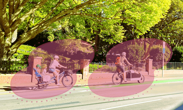 Cyclists on the Glenmore St cycleway outside the Wellington Botanic Gardens (Image: Joel MacManus) 
