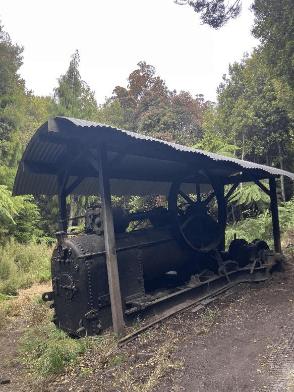 an old train under a corrugated iron roof in the middle of dense bush