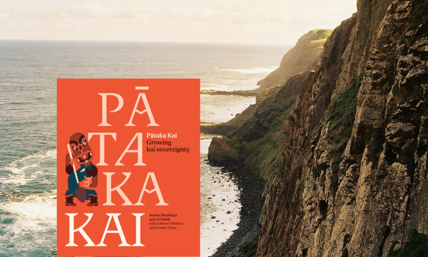 Manukau Cliffs, Rēkohu. Planting is being undertaken on the cliff tops with a view to restoring native seabird habitat. (Photo: Nick Blazey)