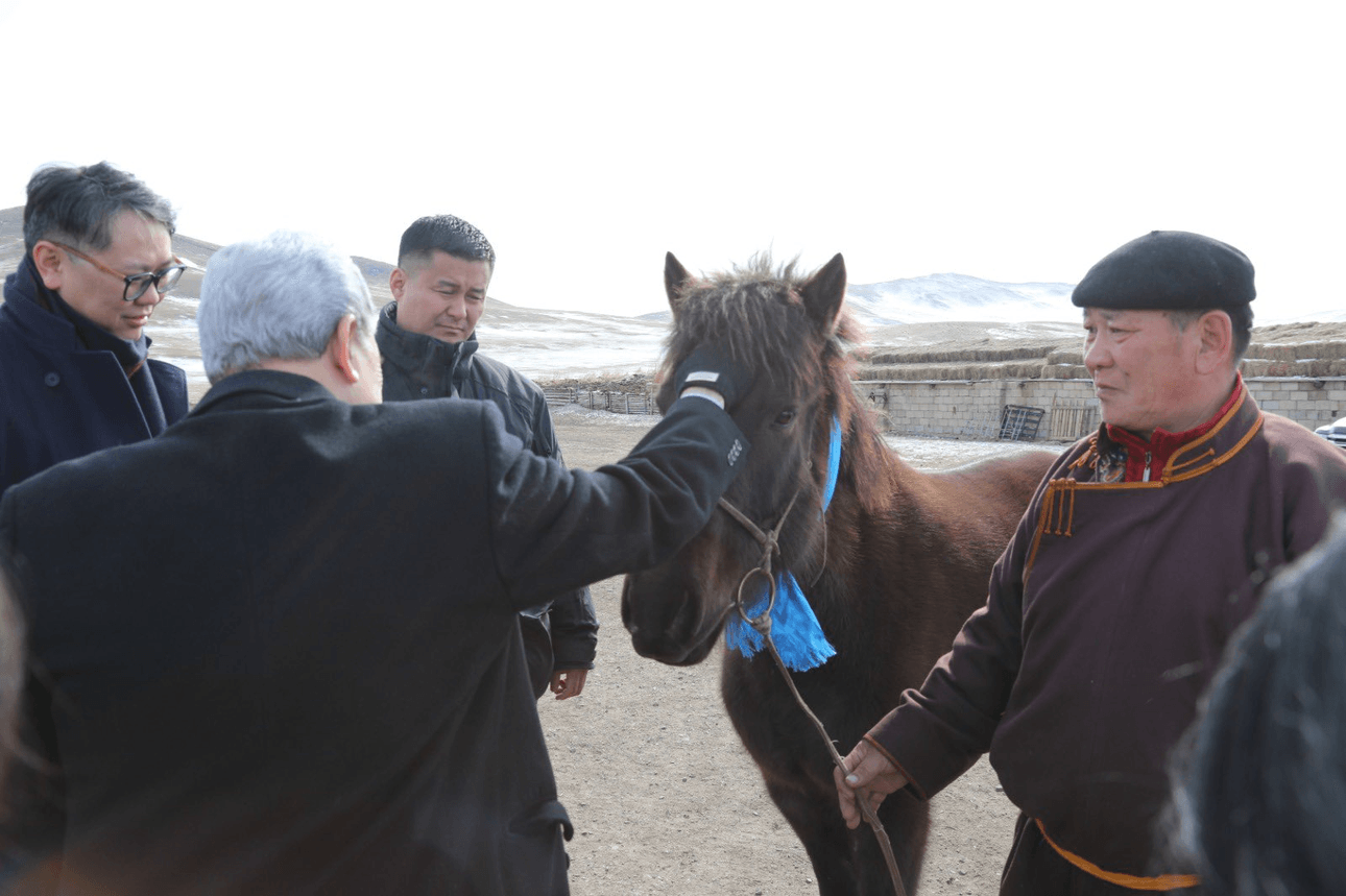 photo of winston peters patting a horse on the head