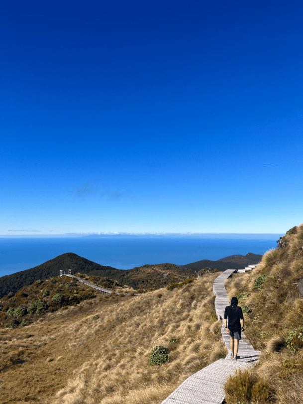 hillside walking path with view of the ocean