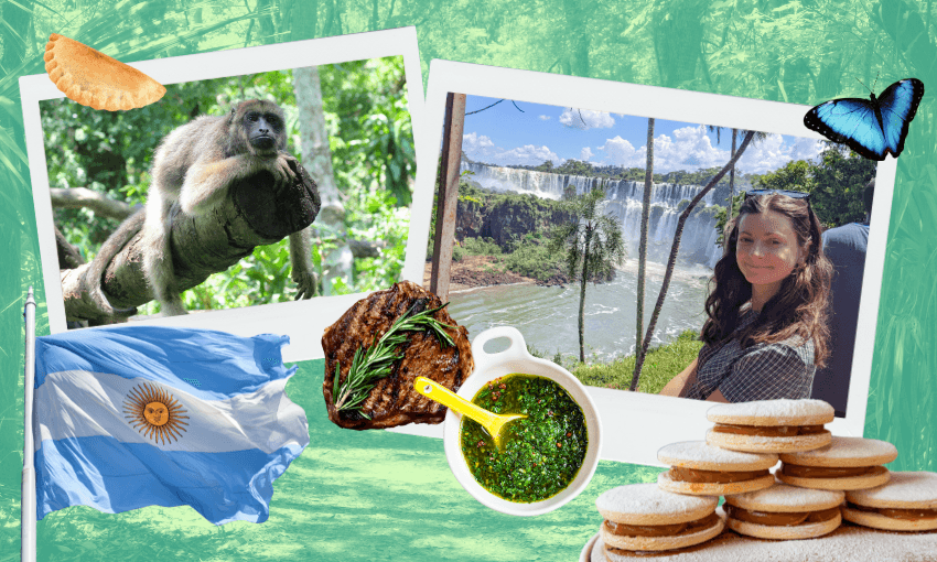 A collage featuring a monkey on a branch, a woman near Iguazu Falls, the Argentine flag, grilled steak, chimichurri sauce, alfajores, an empanada, and a blue butterfly, all set against a leafy green background.