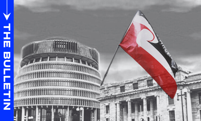 A composite image shows the Tino Rangatiratanga flag outside the NZ parliament