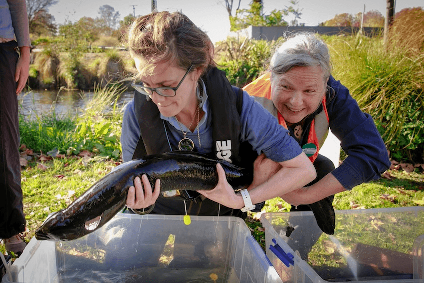 two women with a slippery eel in front of a tank, with a sunlight river in the background"