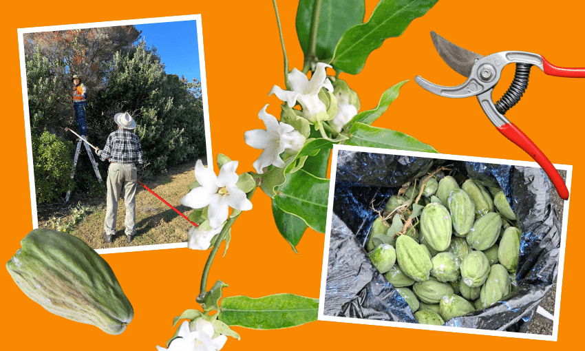 Scenes from the battleground.