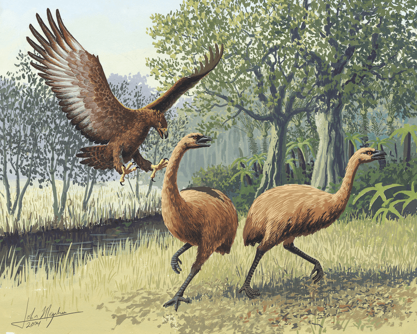 An illustration shows a large eagle swooping down towards two flightless, ostrich-like birds walking on grass near a pond in a prehistoric forest. The scene is lush with trees and vegetation in the background.