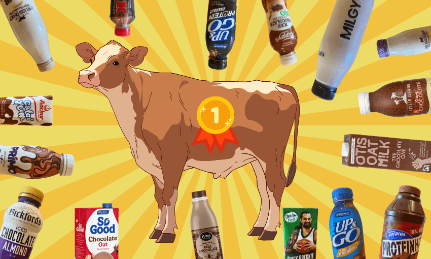 Illustration of a cow with a "1" ribbon, surrounded by various chocolate milk bottles, all against a sunburst background. Bottles feature different brands and labels, highlighting a variety in chocolate milk products.