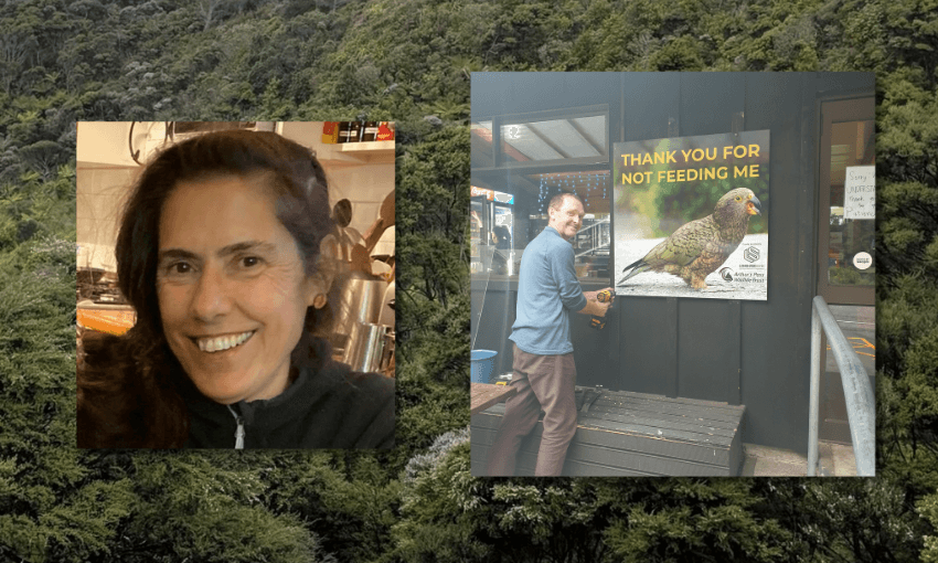 on the left a headshot of a woman (Renee) and on the right an image of a man putting up a poster of a kea that reads "thank you for not feeding me"