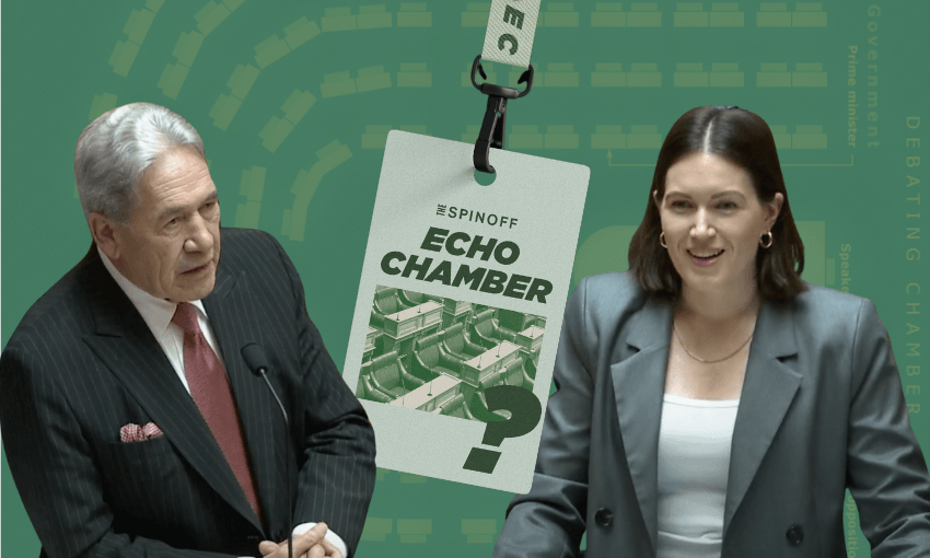 Winston Peters and Brooke van Velden, two of the government’s biggest champions of women. 
