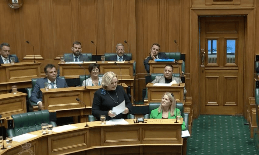 View inside the House of defence minister Judith Collins speaking next to Louise Upston.