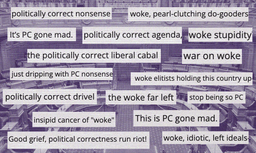 A collage of phrases criticizing political correctness, such as "woke stupidity," "PC gone mad," and "the woke far left," is overlaid on a grayscale image of a government assembly chamber.