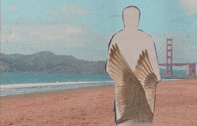 The Friday Poem: ‘Haere Rā, Department Store’ by Nicola Andrews