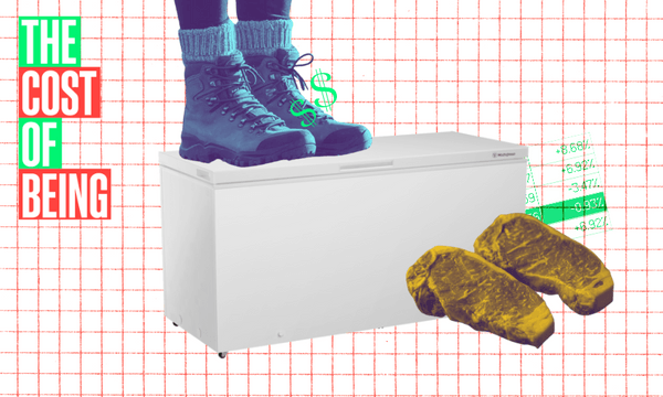 The cost of being: A rural professional who gets most of their food for ‘free’